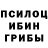 Псилоцибиновые грибы Cubensis Junior MaJoR