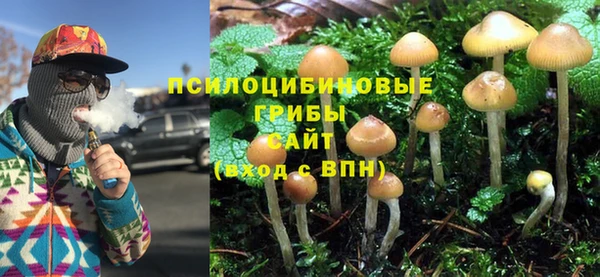 герыч Богородицк