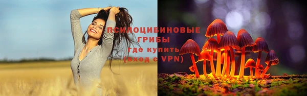прущие крисы Бородино