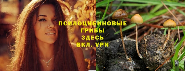 mix Богородск